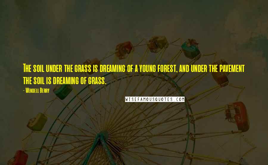 Wendell Berry Quotes: The soil under the grass is dreaming of a young forest, and under the pavement the soil is dreaming of grass.