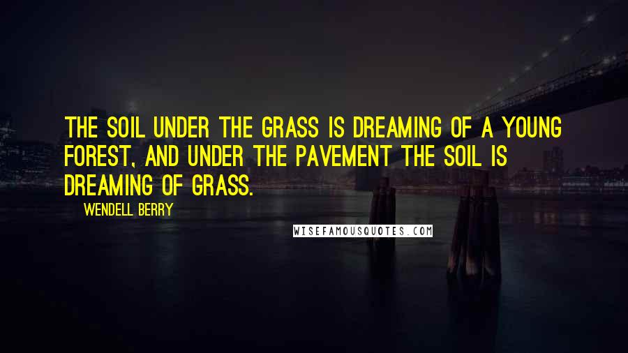 Wendell Berry Quotes: The soil under the grass is dreaming of a young forest, and under the pavement the soil is dreaming of grass.