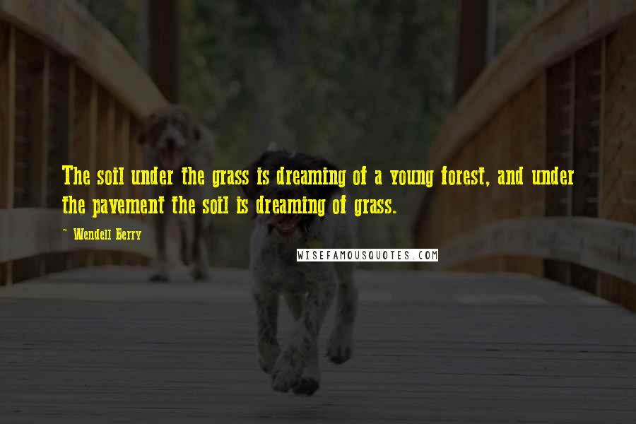 Wendell Berry Quotes: The soil under the grass is dreaming of a young forest, and under the pavement the soil is dreaming of grass.