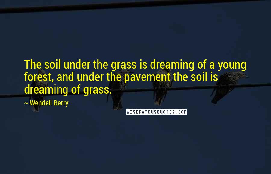 Wendell Berry Quotes: The soil under the grass is dreaming of a young forest, and under the pavement the soil is dreaming of grass.