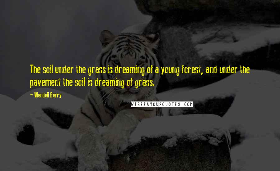 Wendell Berry Quotes: The soil under the grass is dreaming of a young forest, and under the pavement the soil is dreaming of grass.