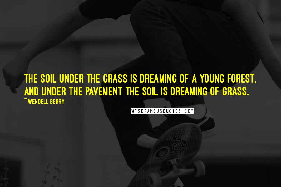 Wendell Berry Quotes: The soil under the grass is dreaming of a young forest, and under the pavement the soil is dreaming of grass.