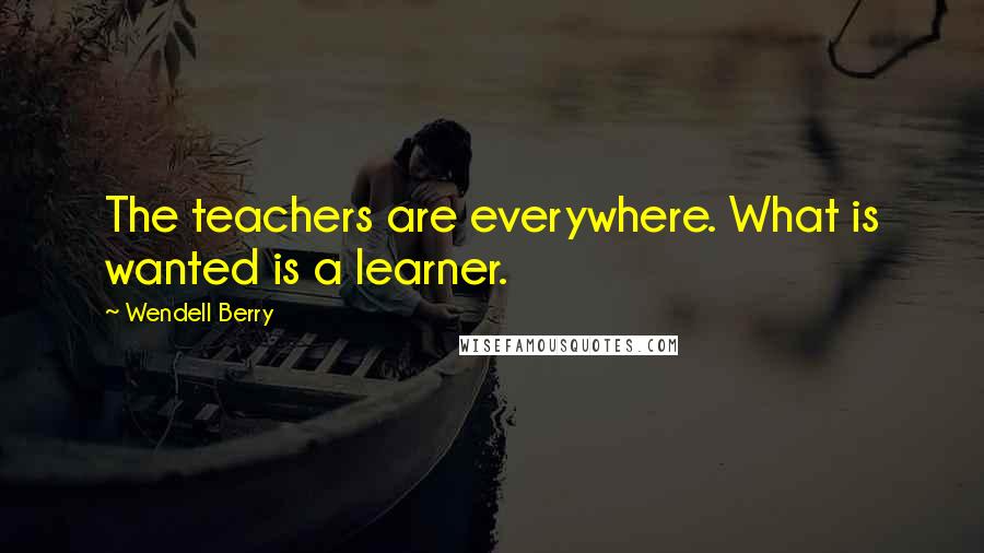 Wendell Berry Quotes: The teachers are everywhere. What is wanted is a learner.