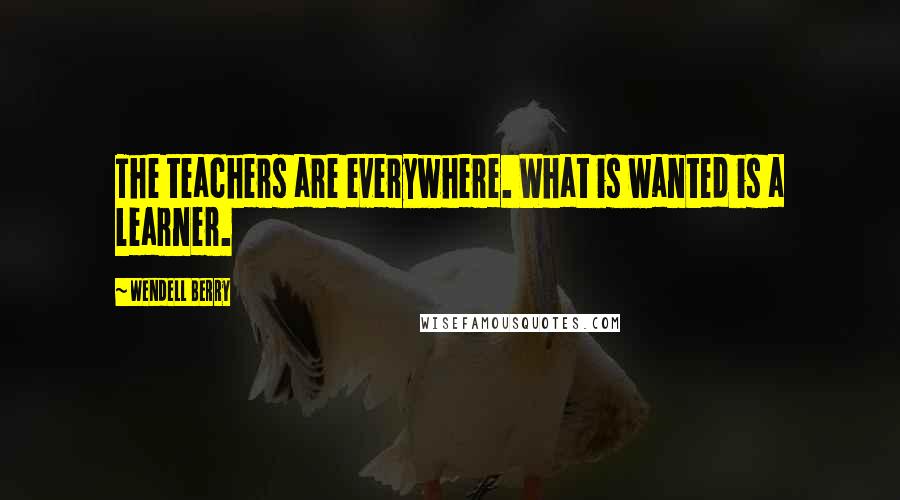 Wendell Berry Quotes: The teachers are everywhere. What is wanted is a learner.