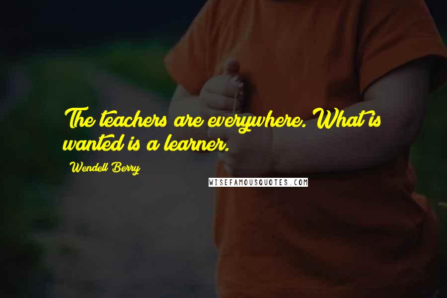 Wendell Berry Quotes: The teachers are everywhere. What is wanted is a learner.