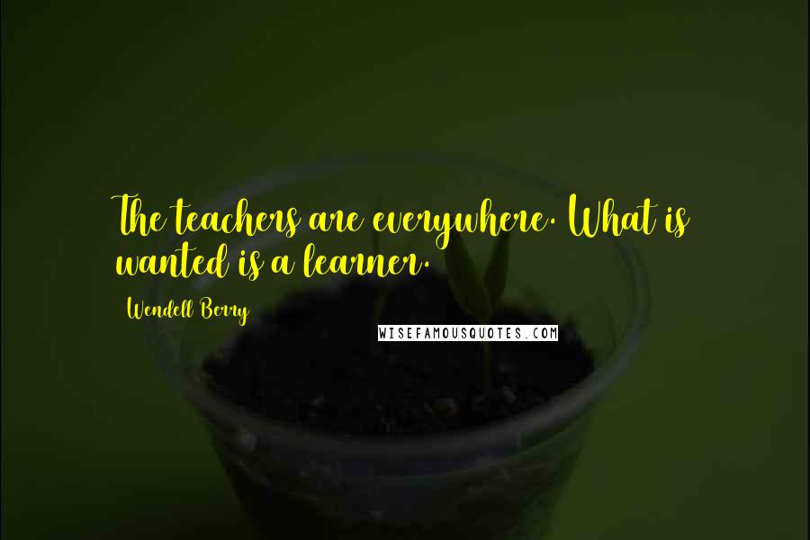 Wendell Berry Quotes: The teachers are everywhere. What is wanted is a learner.