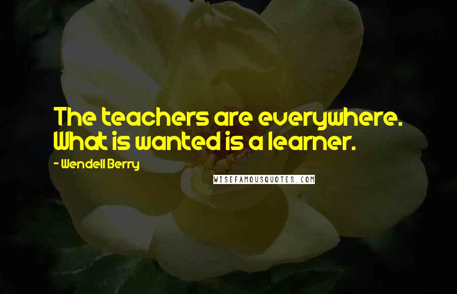 Wendell Berry Quotes: The teachers are everywhere. What is wanted is a learner.