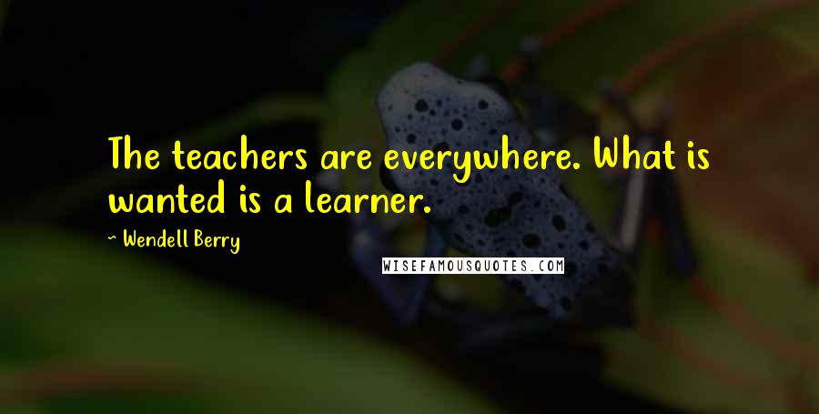 Wendell Berry Quotes: The teachers are everywhere. What is wanted is a learner.