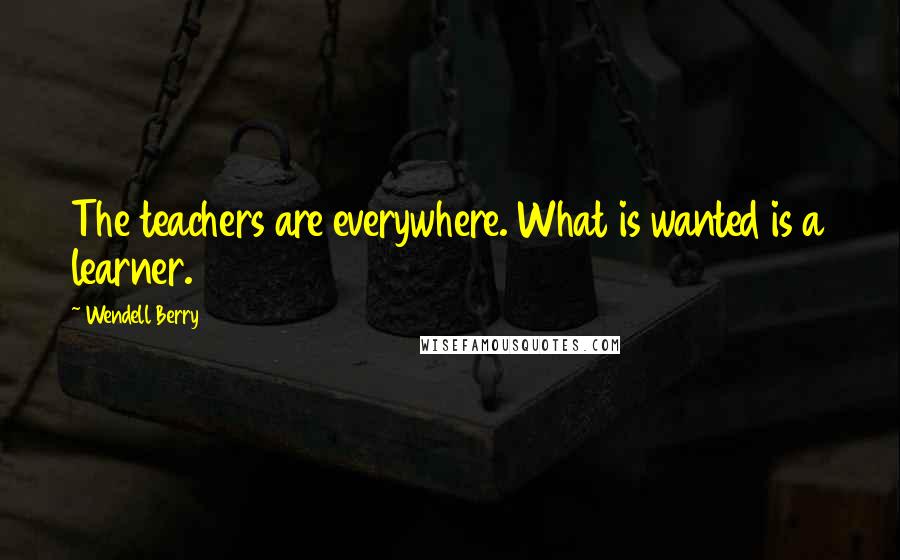 Wendell Berry Quotes: The teachers are everywhere. What is wanted is a learner.