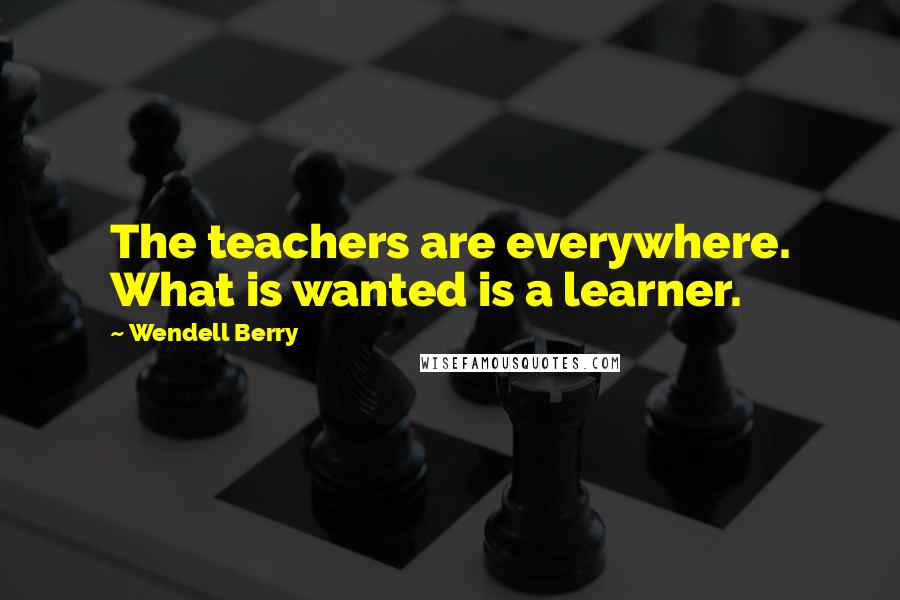 Wendell Berry Quotes: The teachers are everywhere. What is wanted is a learner.