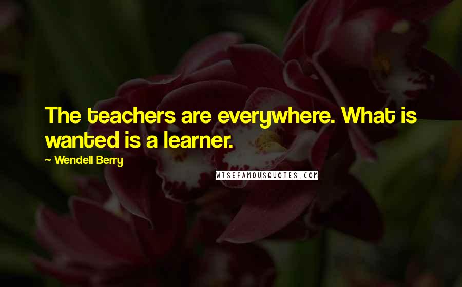 Wendell Berry Quotes: The teachers are everywhere. What is wanted is a learner.