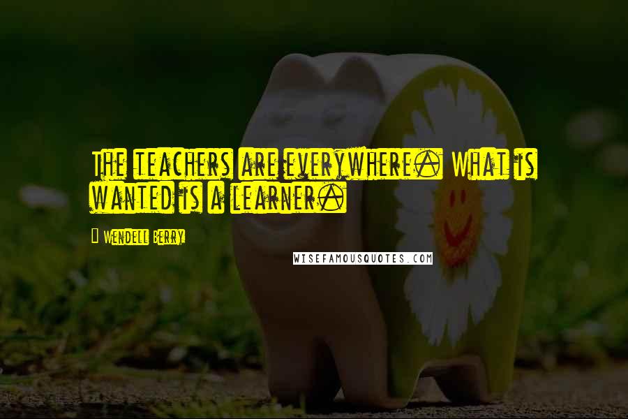 Wendell Berry Quotes: The teachers are everywhere. What is wanted is a learner.