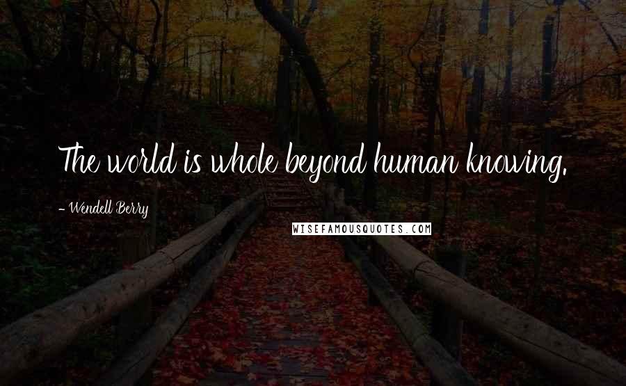 Wendell Berry Quotes: The world is whole beyond human knowing.