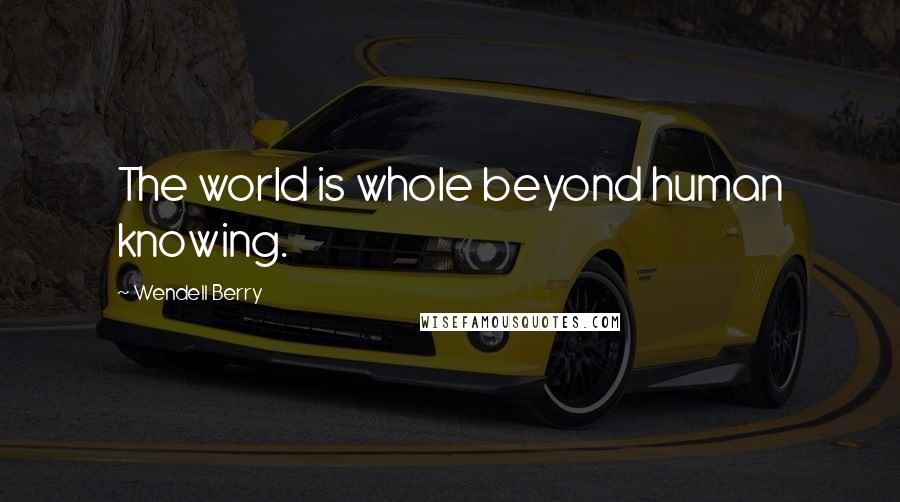 Wendell Berry Quotes: The world is whole beyond human knowing.