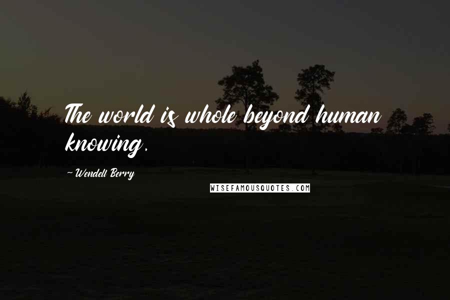 Wendell Berry Quotes: The world is whole beyond human knowing.