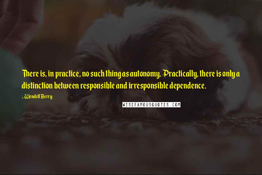 Wendell Berry Quotes: There is, in practice, no such thing as autonomy. Practically, there is only a distinction between responsible and irresponsible dependence.
