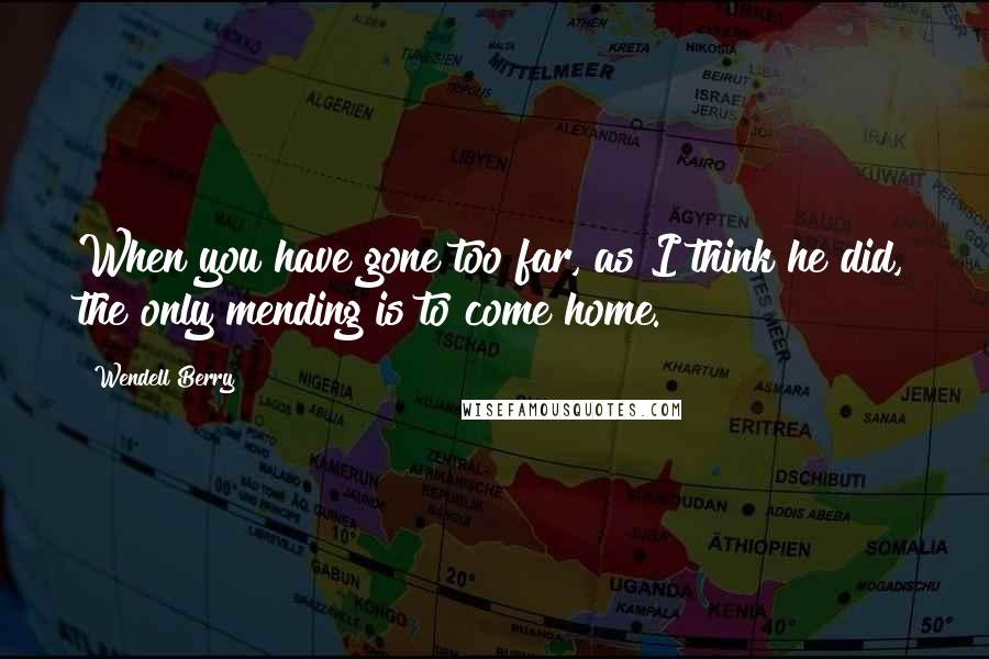 Wendell Berry Quotes: When you have gone too far, as I think he did, the only mending is to come home.