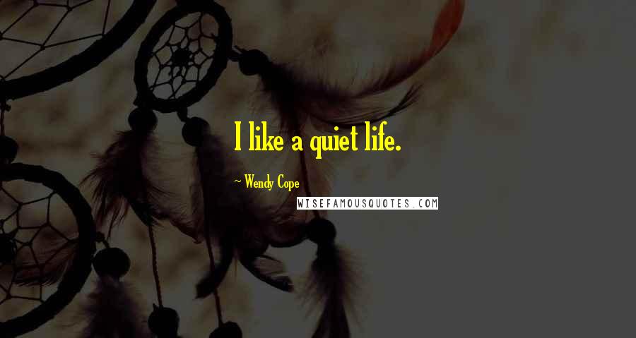 Wendy Cope Quotes: I like a quiet life.