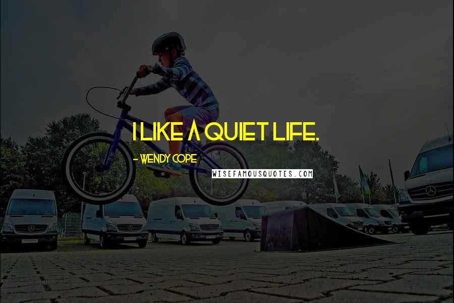 Wendy Cope Quotes: I like a quiet life.