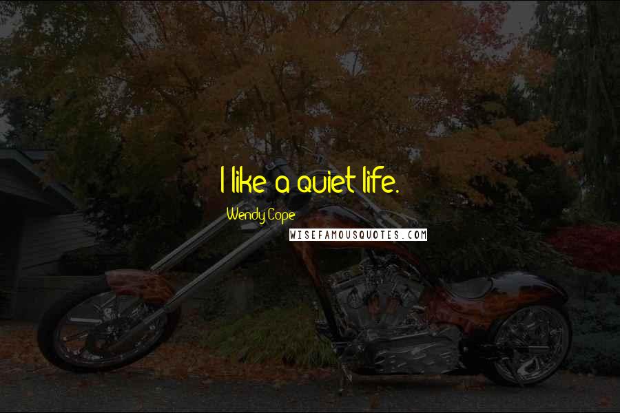 Wendy Cope Quotes: I like a quiet life.