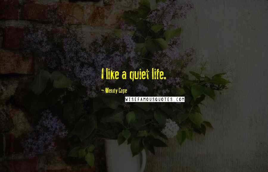 Wendy Cope Quotes: I like a quiet life.