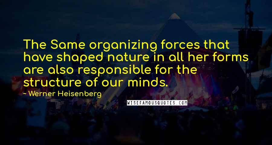 Werner Heisenberg Quotes: The Same organizing forces that have shaped nature in all her forms are also responsible for the structure of our minds.