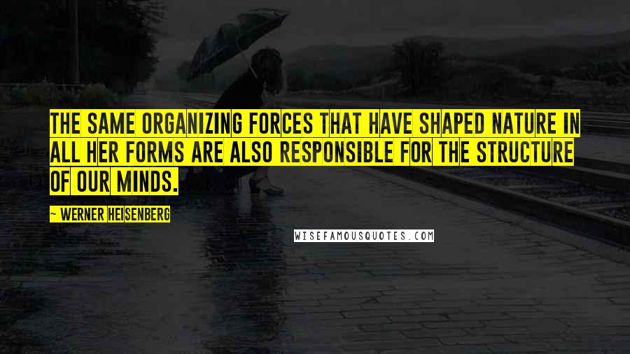 Werner Heisenberg Quotes: The Same organizing forces that have shaped nature in all her forms are also responsible for the structure of our minds.