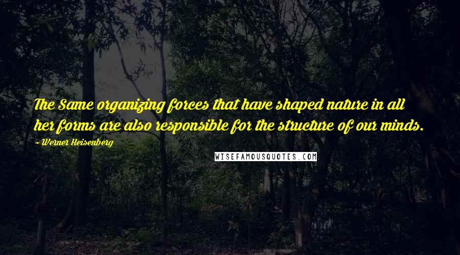 Werner Heisenberg Quotes: The Same organizing forces that have shaped nature in all her forms are also responsible for the structure of our minds.