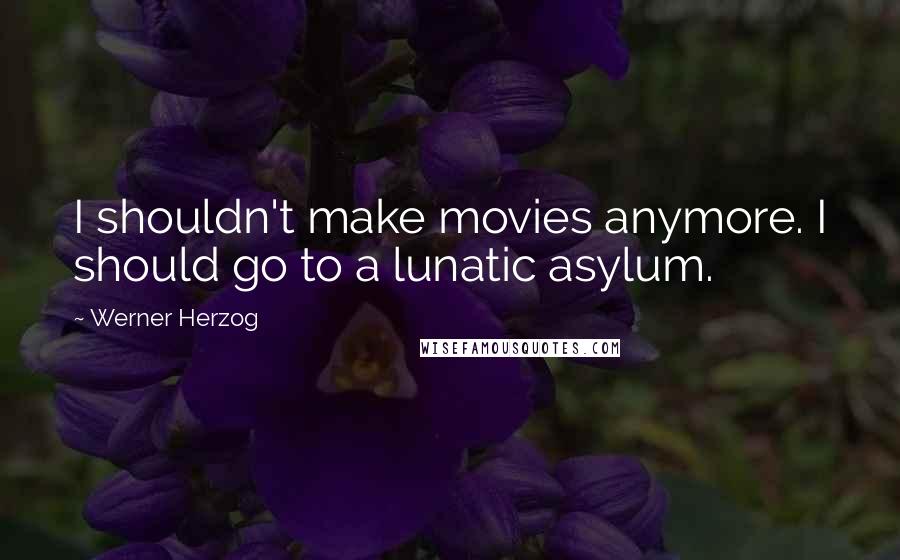 Werner Herzog Quotes: I shouldn't make movies anymore. I should go to a lunatic asylum.