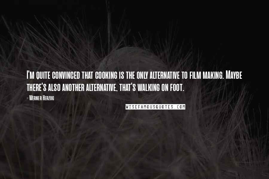 Werner Herzog Quotes: I'm quite convinced that cooking is the only alternative to film making. Maybe there's also another alternative, that's walking on foot.