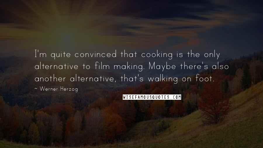 Werner Herzog Quotes: I'm quite convinced that cooking is the only alternative to film making. Maybe there's also another alternative, that's walking on foot.