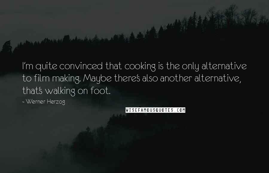 Werner Herzog Quotes: I'm quite convinced that cooking is the only alternative to film making. Maybe there's also another alternative, that's walking on foot.