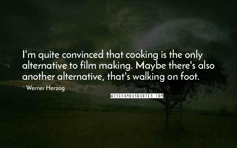 Werner Herzog Quotes: I'm quite convinced that cooking is the only alternative to film making. Maybe there's also another alternative, that's walking on foot.