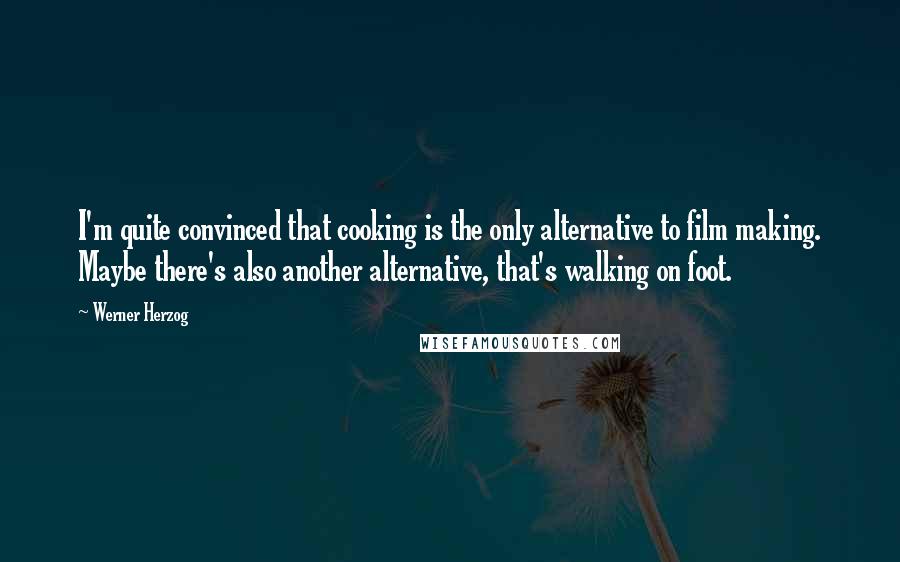 Werner Herzog Quotes: I'm quite convinced that cooking is the only alternative to film making. Maybe there's also another alternative, that's walking on foot.