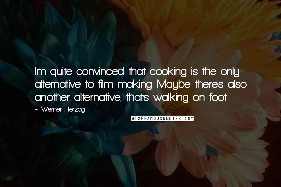 Werner Herzog Quotes: I'm quite convinced that cooking is the only alternative to film making. Maybe there's also another alternative, that's walking on foot.