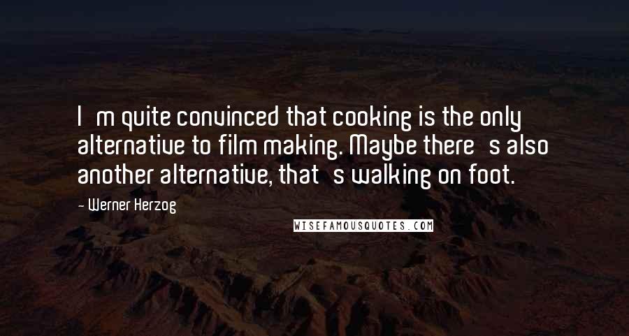 Werner Herzog Quotes: I'm quite convinced that cooking is the only alternative to film making. Maybe there's also another alternative, that's walking on foot.