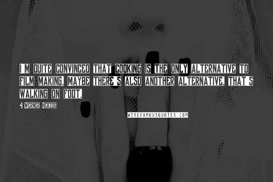 Werner Herzog Quotes: I'm quite convinced that cooking is the only alternative to film making. Maybe there's also another alternative, that's walking on foot.