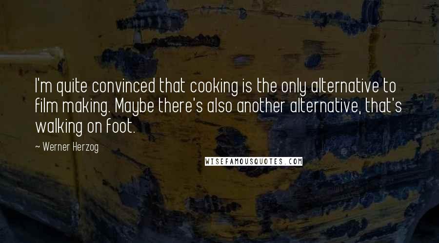 Werner Herzog Quotes: I'm quite convinced that cooking is the only alternative to film making. Maybe there's also another alternative, that's walking on foot.
