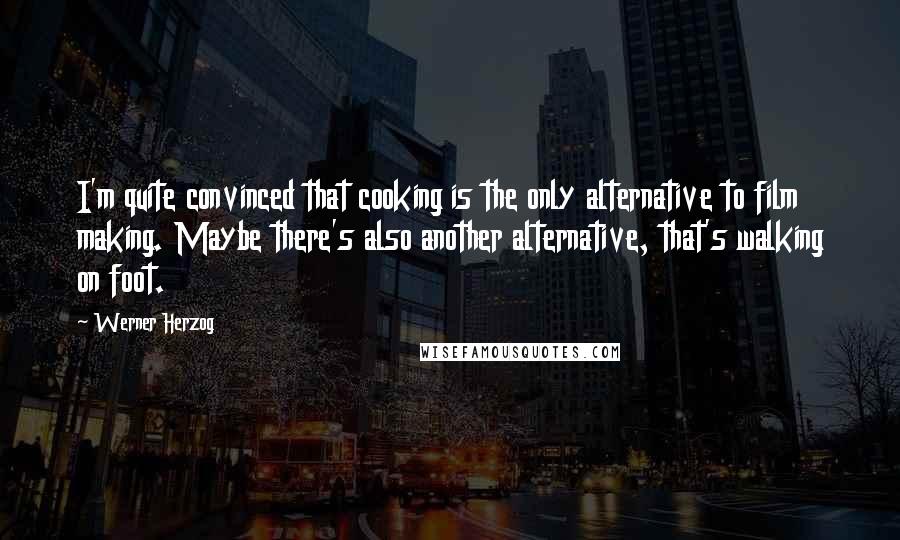 Werner Herzog Quotes: I'm quite convinced that cooking is the only alternative to film making. Maybe there's also another alternative, that's walking on foot.