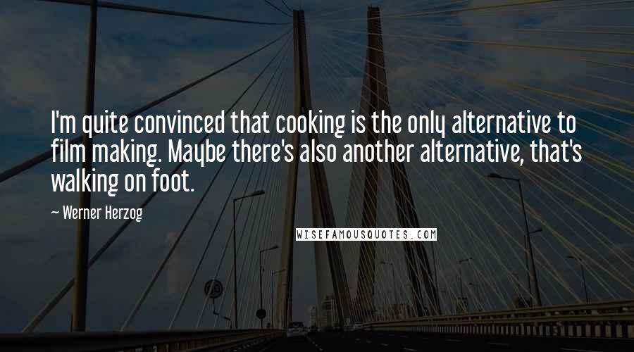 Werner Herzog Quotes: I'm quite convinced that cooking is the only alternative to film making. Maybe there's also another alternative, that's walking on foot.