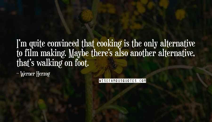 Werner Herzog Quotes: I'm quite convinced that cooking is the only alternative to film making. Maybe there's also another alternative, that's walking on foot.