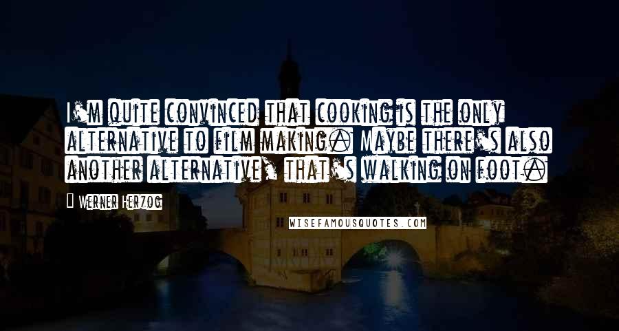 Werner Herzog Quotes: I'm quite convinced that cooking is the only alternative to film making. Maybe there's also another alternative, that's walking on foot.