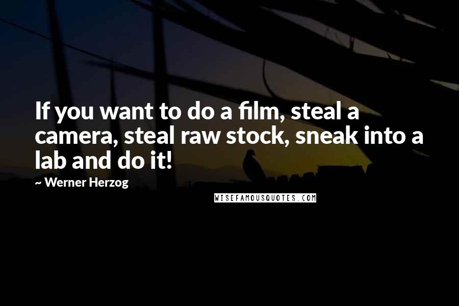 Werner Herzog Quotes: If you want to do a film, steal a camera, steal raw stock, sneak into a lab and do it!