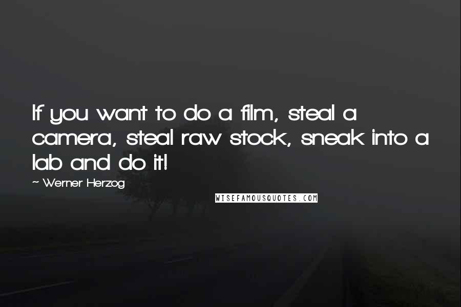 Werner Herzog Quotes: If you want to do a film, steal a camera, steal raw stock, sneak into a lab and do it!