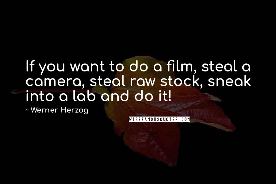 Werner Herzog Quotes: If you want to do a film, steal a camera, steal raw stock, sneak into a lab and do it!