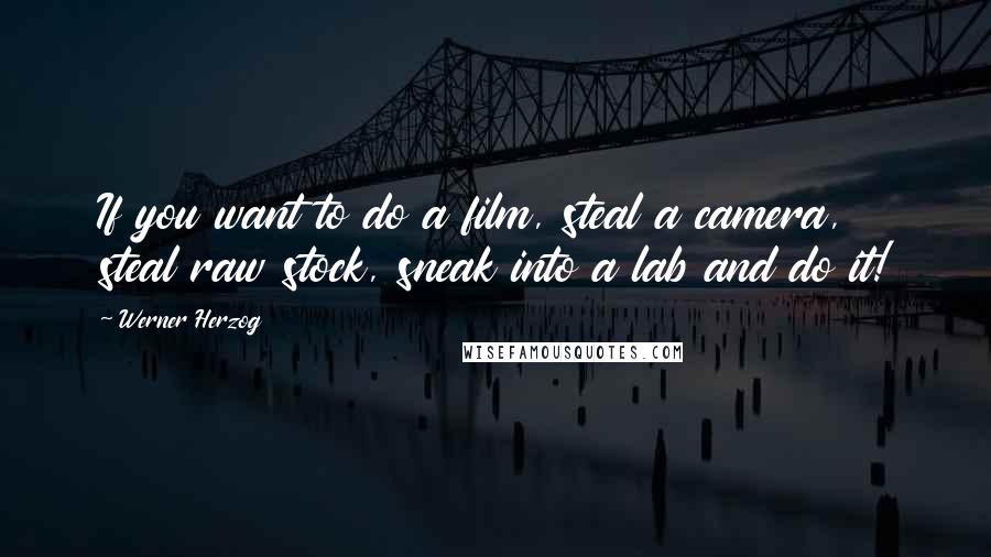 Werner Herzog Quotes: If you want to do a film, steal a camera, steal raw stock, sneak into a lab and do it!