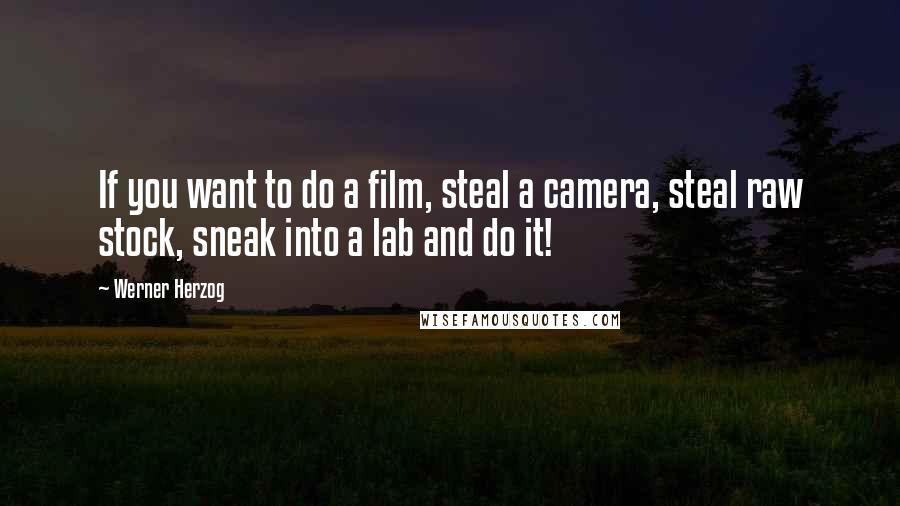 Werner Herzog Quotes: If you want to do a film, steal a camera, steal raw stock, sneak into a lab and do it!