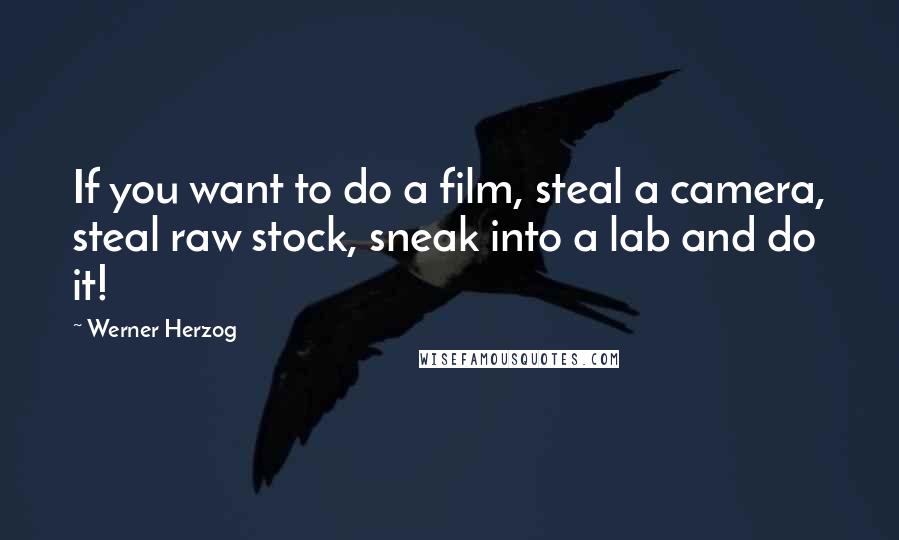 Werner Herzog Quotes: If you want to do a film, steal a camera, steal raw stock, sneak into a lab and do it!