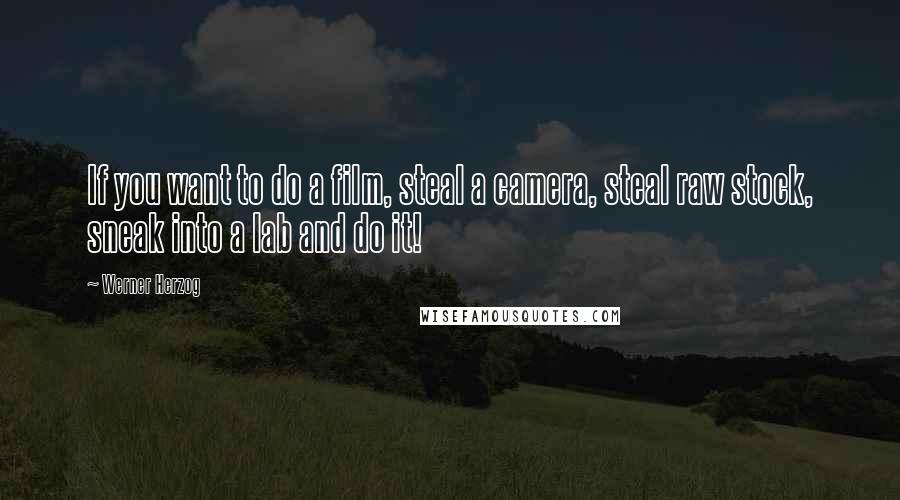 Werner Herzog Quotes: If you want to do a film, steal a camera, steal raw stock, sneak into a lab and do it!