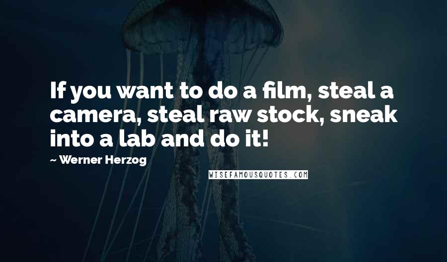 Werner Herzog Quotes: If you want to do a film, steal a camera, steal raw stock, sneak into a lab and do it!